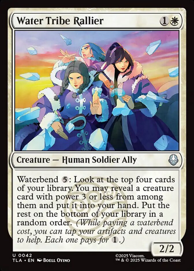 Image: Water Tribe Rallier - Avatar: The Last Airbender-(042)