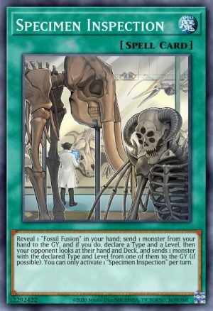 Specimen Inspection - (Battles of Legend Armageddon) - (BLAR-EN013) - (Secret Rare)