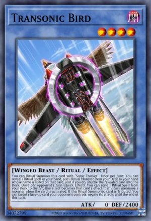 Transonic Bird - (Burst of Destiny) - (BODE-EN037) - (Common)