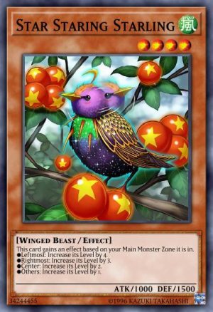 Star Staring Starling - (Dark Neostorm) - (DANE-EN024) - (Rare)