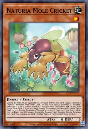 Naturia Mole Cricket - (Dueling Heroes Tin) - (MP23-EN170) - (Super Rare)