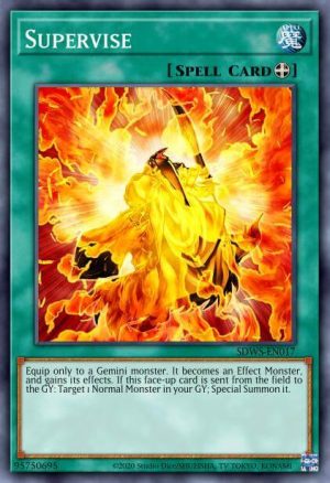 Supervise - (Toon Chaos) - (TOCH-EN055) - (Rare)
