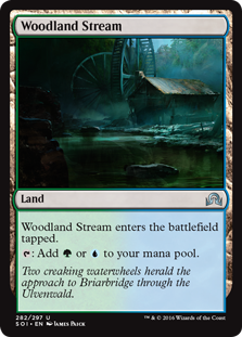 Woodland Stream - Shadows over Innistrad-(282)