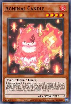 Agnimal Candle - (Duelist Nexus) - (DUNE-EN027) - (Common)