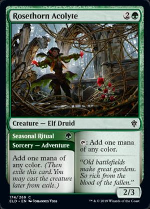 Rosethorn Acolyte // Seasonal Ritual - Throne of Eldraine-(174)