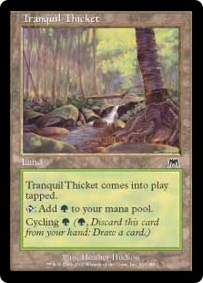 Tranquil Thicket - Onslaught-(326)