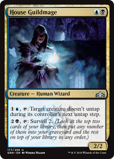 House Guildmage - Guilds of Ravnica-(177)-(Foil)
