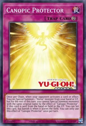 Canopic Protector - (Age of Overlord) - (AGOV-EN076) - (Super Rare)