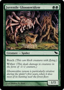 Juvenile Gloomwidow - Shadowmoor-(121)