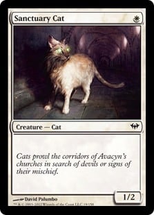 Sanctuary Cat - Dark Ascension-(019)