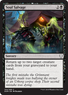Soul Salvage - Dominaria-(104)