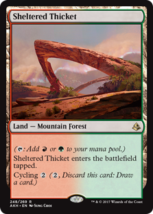 Sheltered Thicket - Amonkhet-(248)