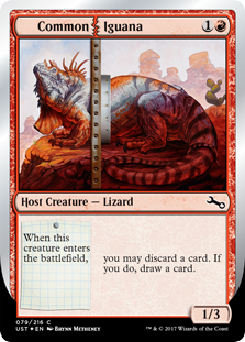 Common Iguana - Unstable-(079)