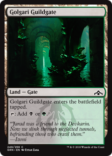Golgari Guildgate - Guilds of Ravnica-(249)