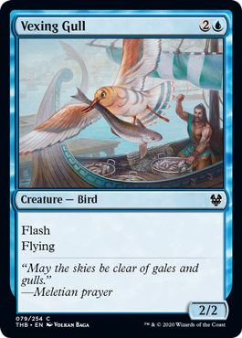 Vexing Gull - Theros Beyond Death-(079)