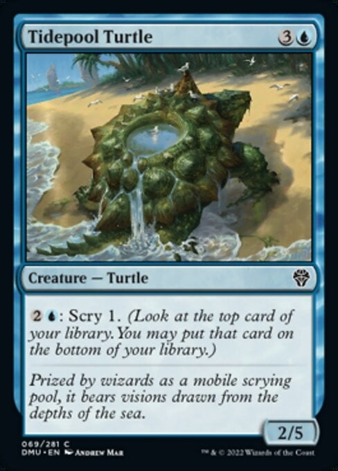 Tidepool Turtle - Dominaria United-(069)-Foil