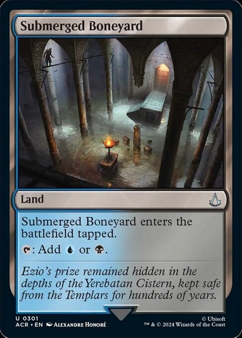 Submerged Boneyard - Assassin's Creed-(301)
