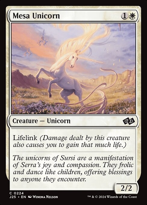 Mesa Unicorn - Foundations Jumpstart-(224)
