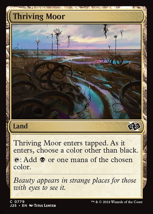 Thriving Moor - Foundations Jumpstart-(779)