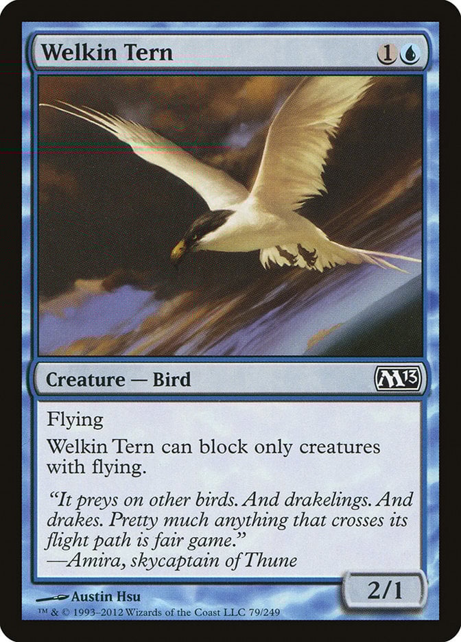 Welkin Tern - Magic 2013-(079)