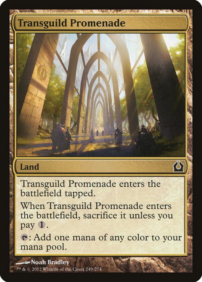 Transguild Promenade - Return to Ravnica-(249)