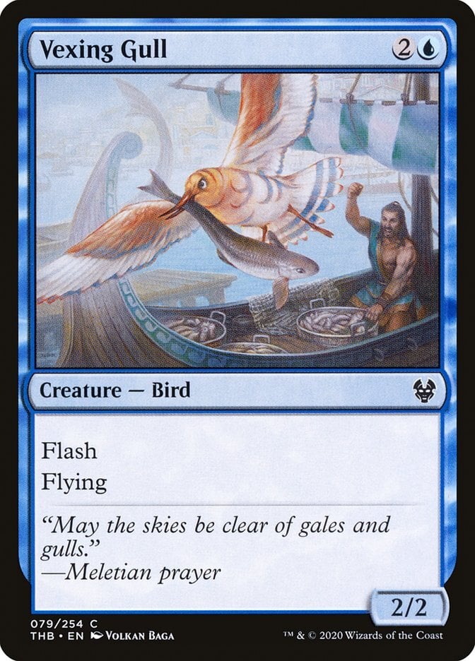 Vexing Gull - Theros Beyond Death-(079)-Foil