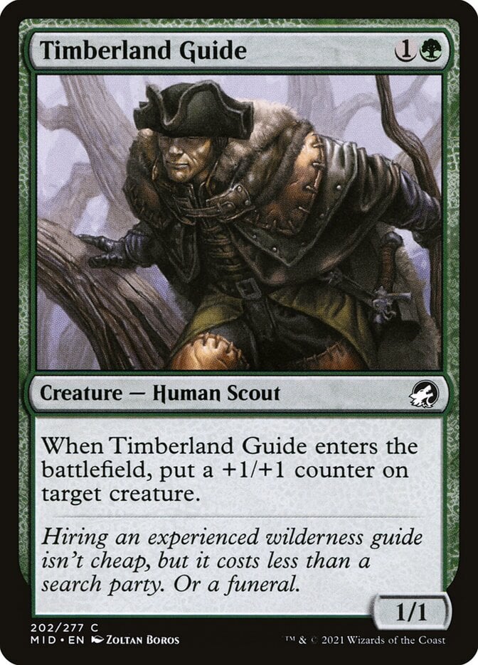 Timberland Guide - Innistrad: Midnight Hunt-(202)-Foil