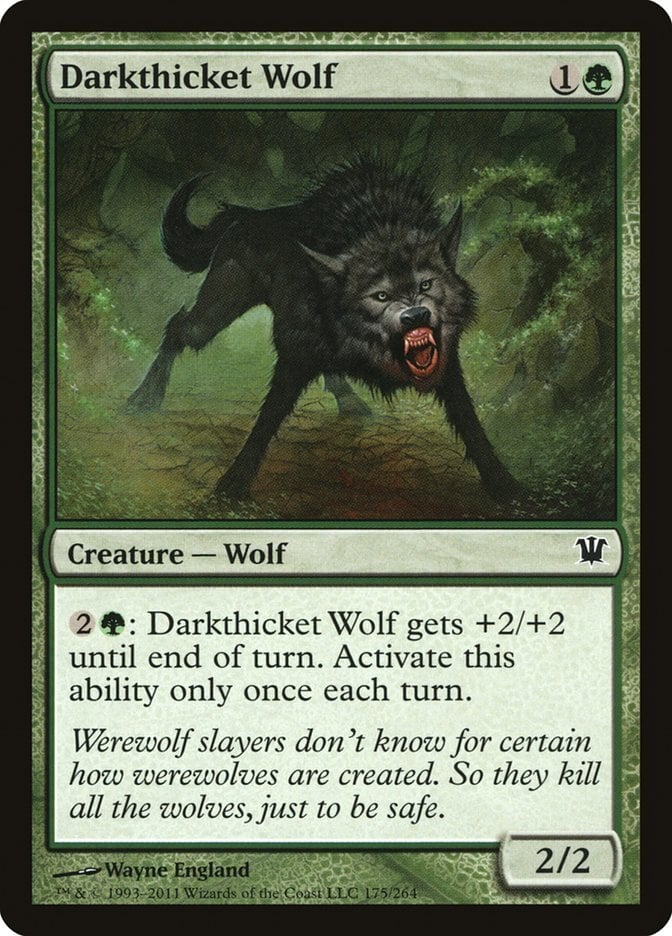 Darkthicket Wolf - Innistrad-(175)