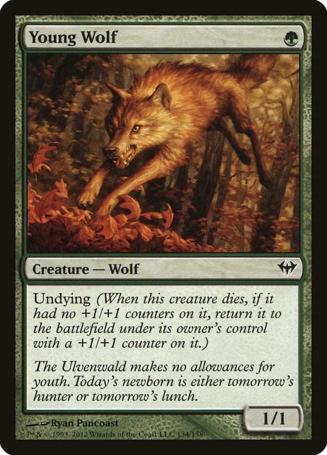 Young Wolf - Dark Ascension-(134)