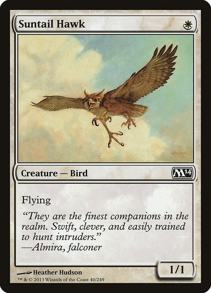 Suntail Hawk - Magic 2014 Core Set-(040)