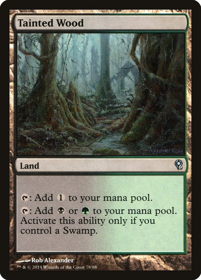 Tainted Wood - Duel Decks: Jace vs. Vraska-(078)