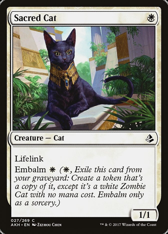 Sacred Cat - Amonkhet-(027)