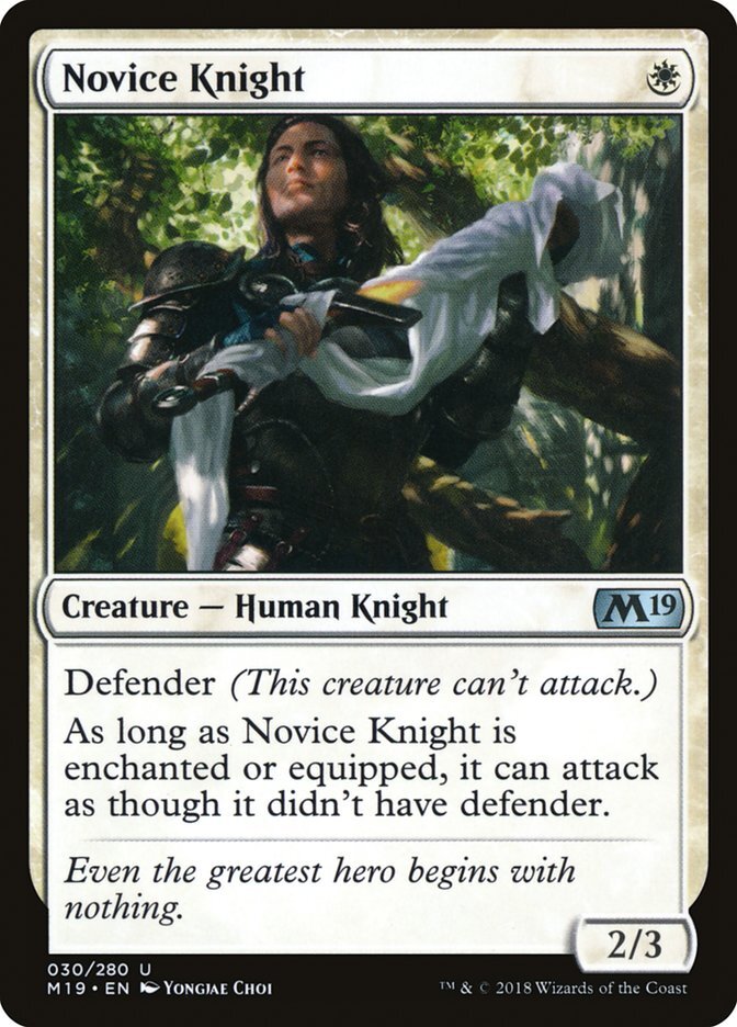 Novice Knight - Core Set 2019-(030)