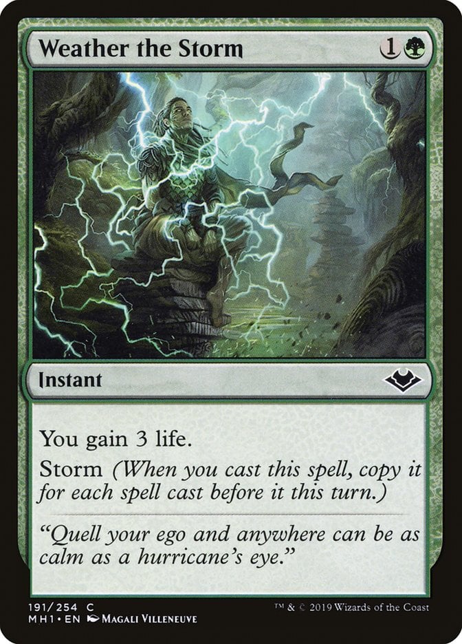 Weather the Storm - Modern Horizons-(191)