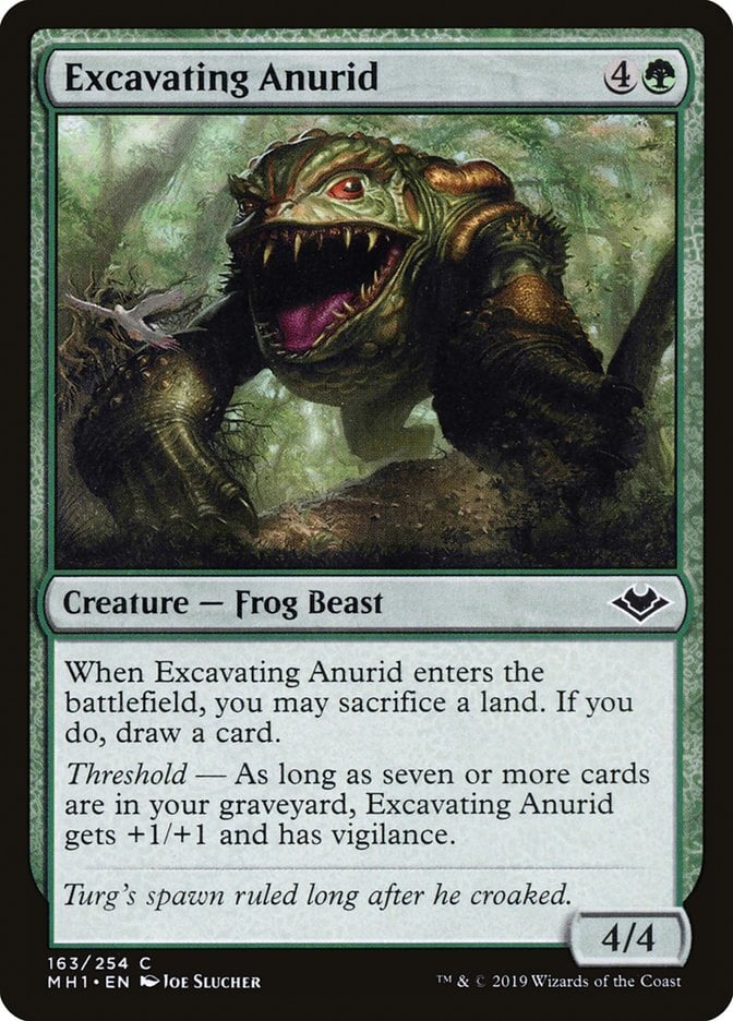 Excavating Anurid - Modern Horizons-(163)